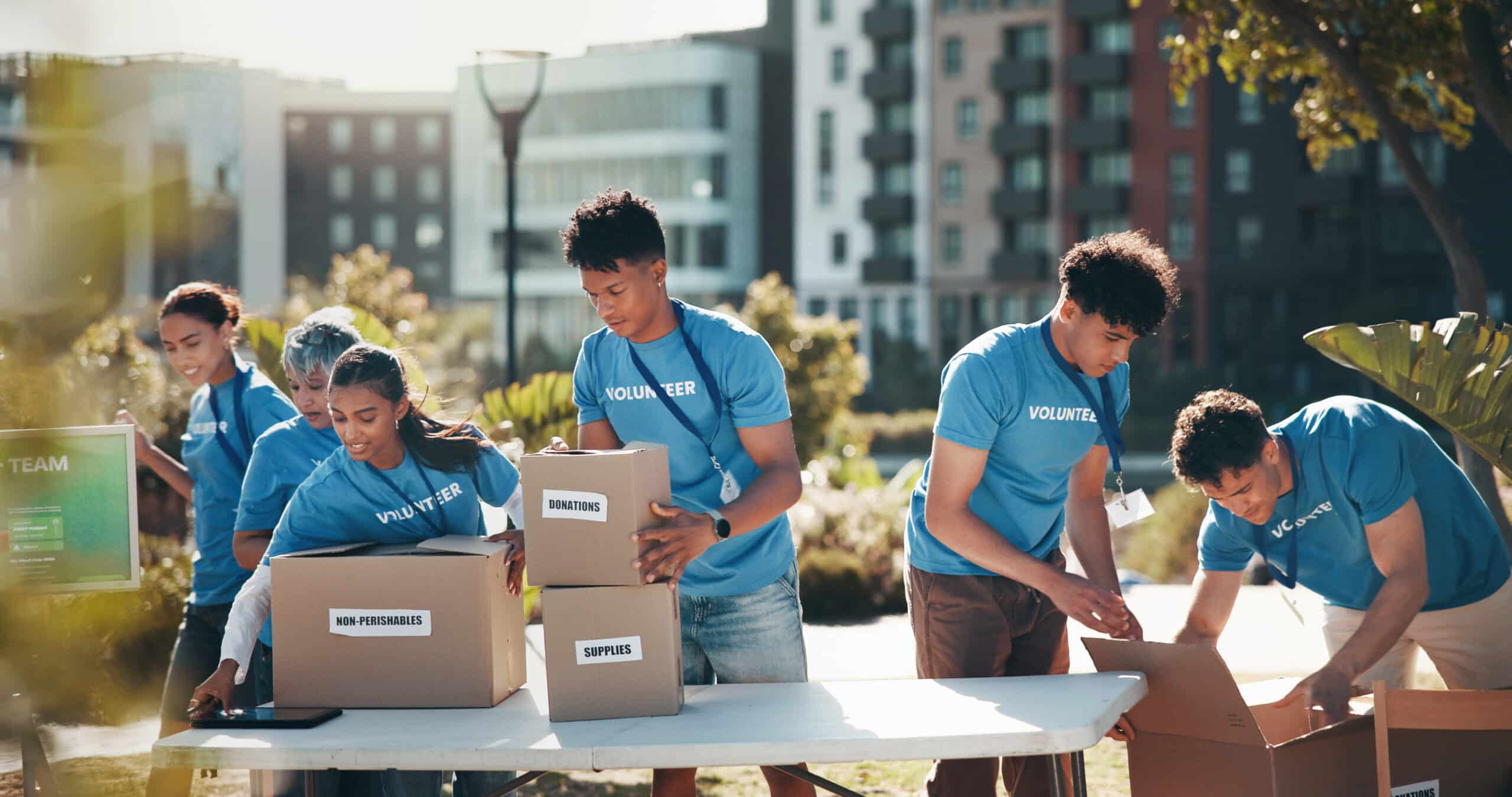 Nature, people and group of volunteers with help, goals and donations at charity event in park. Non profit, boxes and NGO startup outdoor in field for community service project in collaboration.